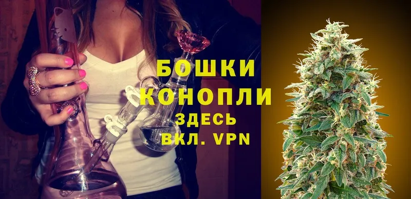 Бошки Шишки SATIVA & INDICA  наркотики  блэк спрут ТОР  Бологое 